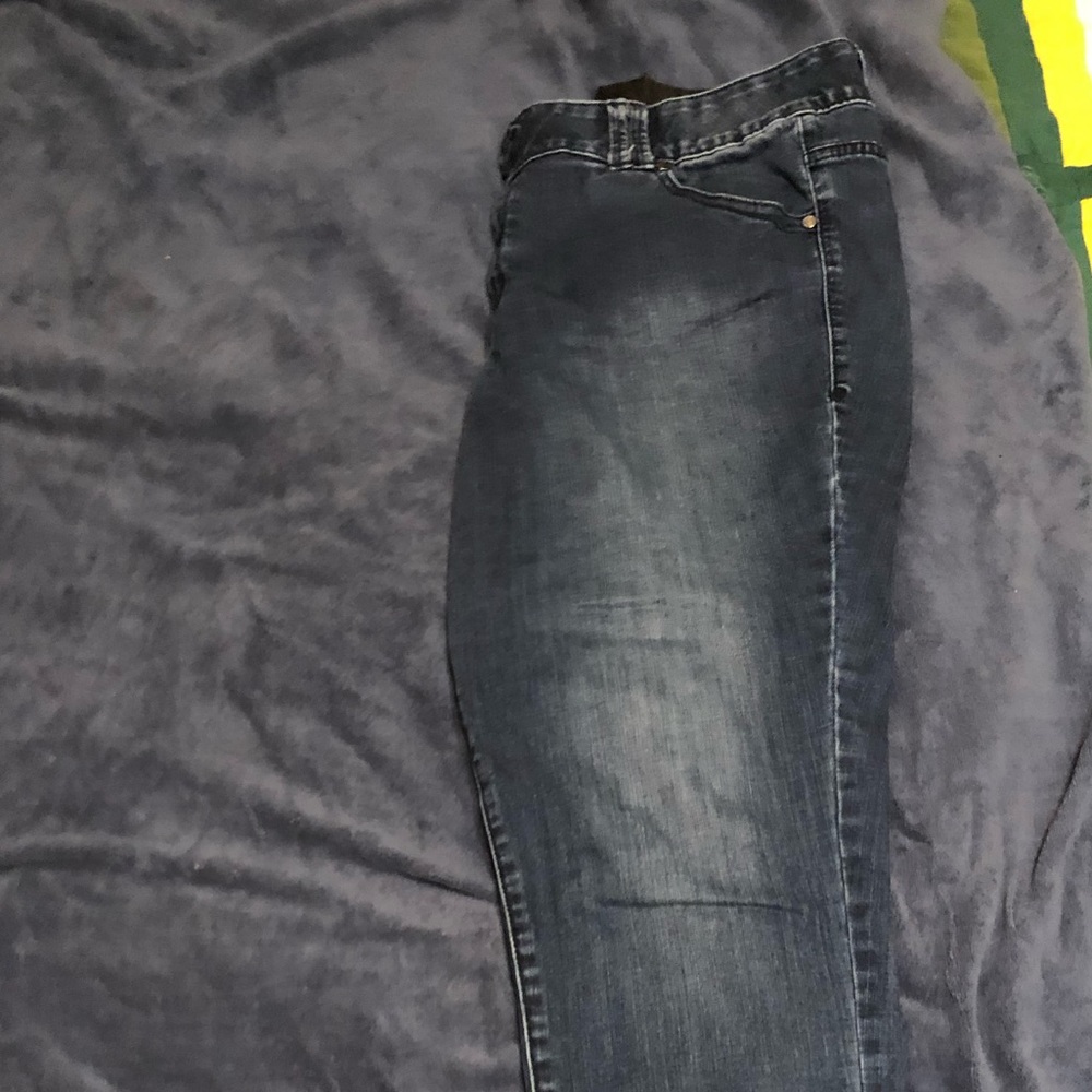 Lane Bryant Jeans Stretch